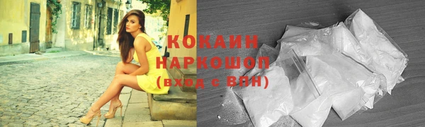 PSILOCYBIN Белокуриха