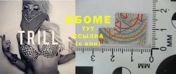 прущие грибы Беломорск