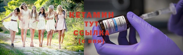 PSILOCYBIN Белокуриха