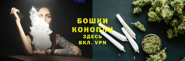 PSILOCYBIN Белокуриха