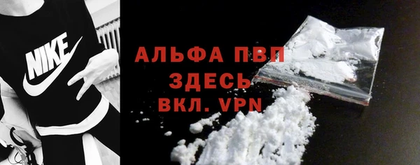 прущие грибы Беломорск