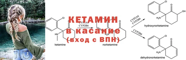 PSILOCYBIN Белокуриха
