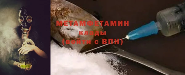 прущие грибы Беломорск