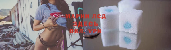 прущие грибы Беломорск