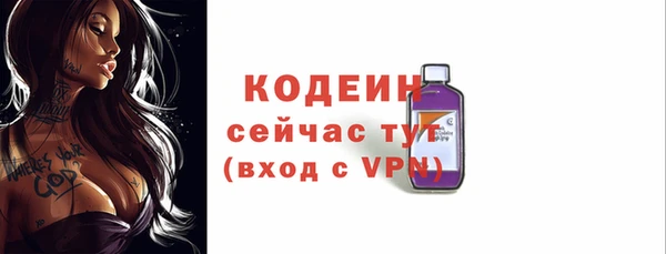 PSILOCYBIN Белокуриха