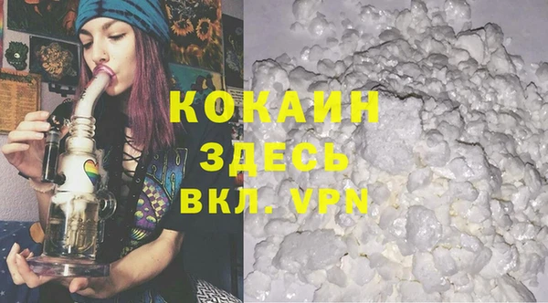 прущие грибы Беломорск
