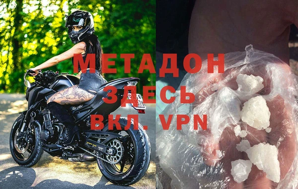 прущие грибы Беломорск