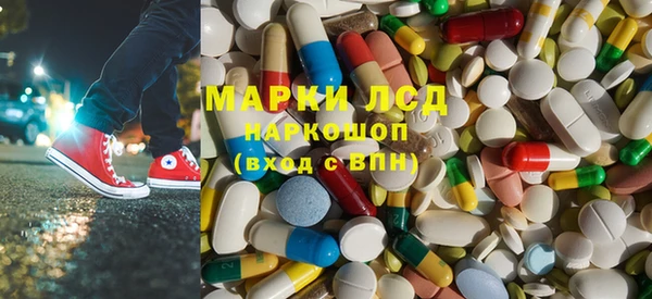 PSILOCYBIN Белокуриха