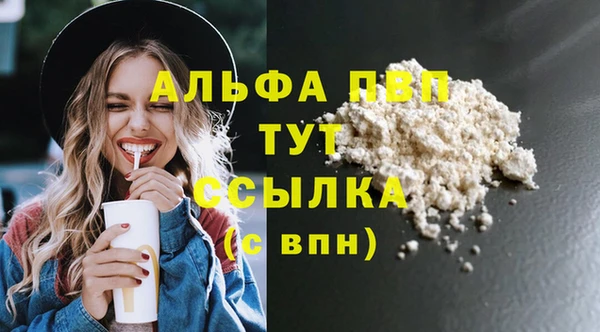 прущие грибы Беломорск