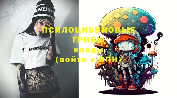прущие грибы Беломорск