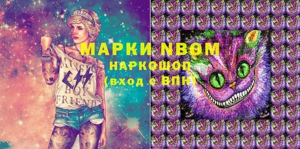 PSILOCYBIN Белокуриха