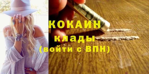 прущие грибы Беломорск