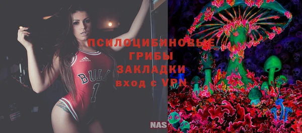 PSILOCYBIN Белокуриха
