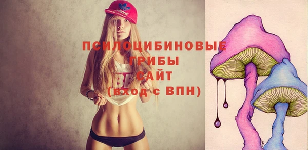 прущие грибы Беломорск