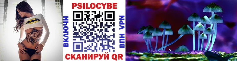 Псилоцибиновые грибы прущие грибы Ейск